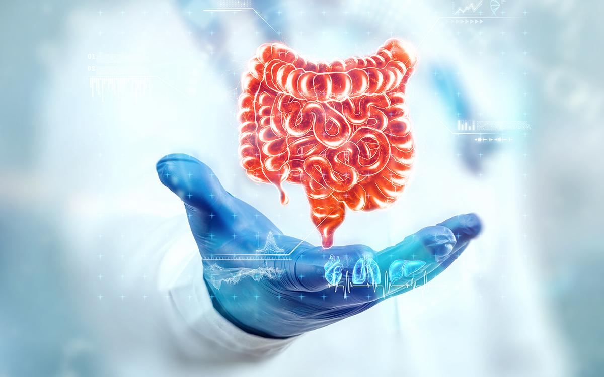 Mão estendida com o orgão do intestino flutuando em cima dela. Imagem educativa.