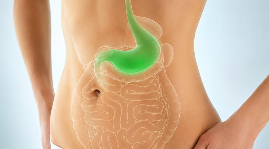 ESD Colonoscopia: Onde Fazer? Guia Completo Sobre o Procedimento